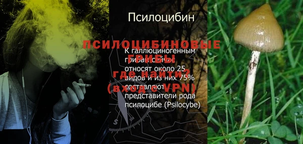 героин Алексин