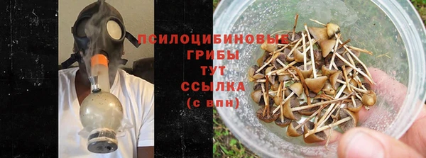 хмурый Алексеевка